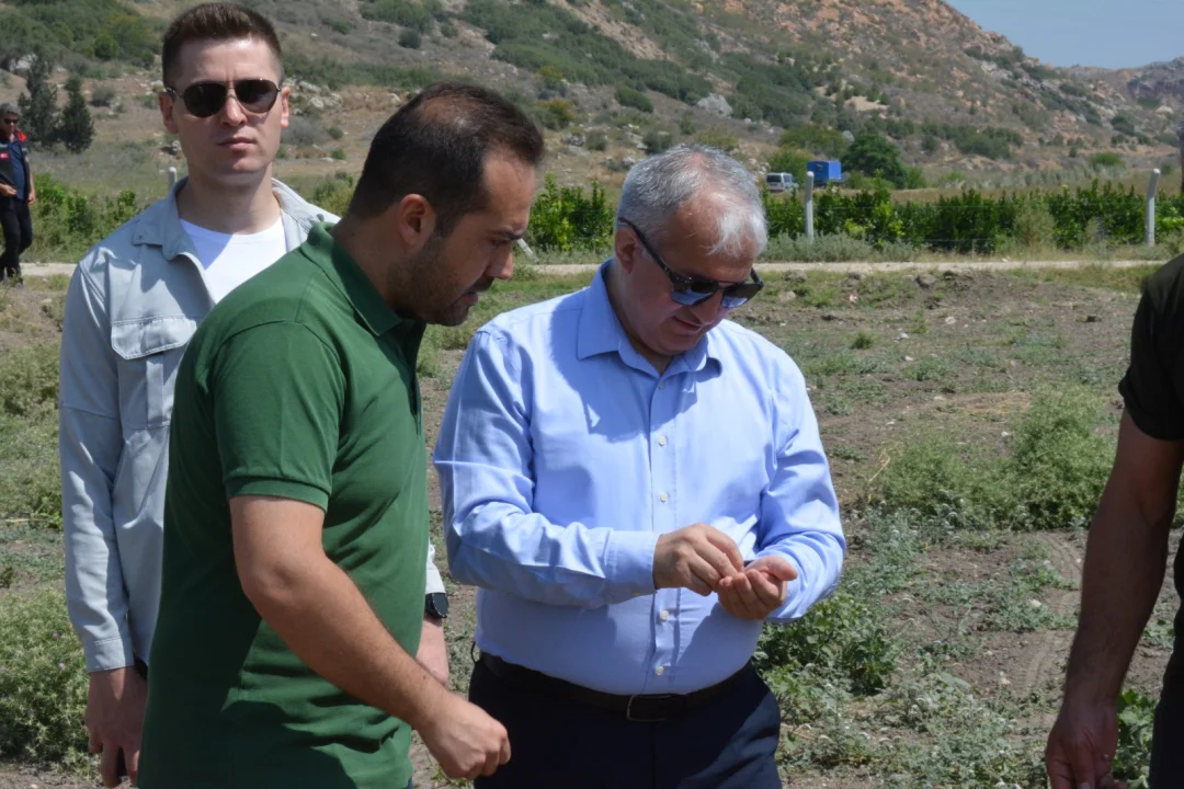 Ağaçpınar’da Alternatif Ürün Sevinci: Kaymakam Kurtyemez Hasada Katıldı