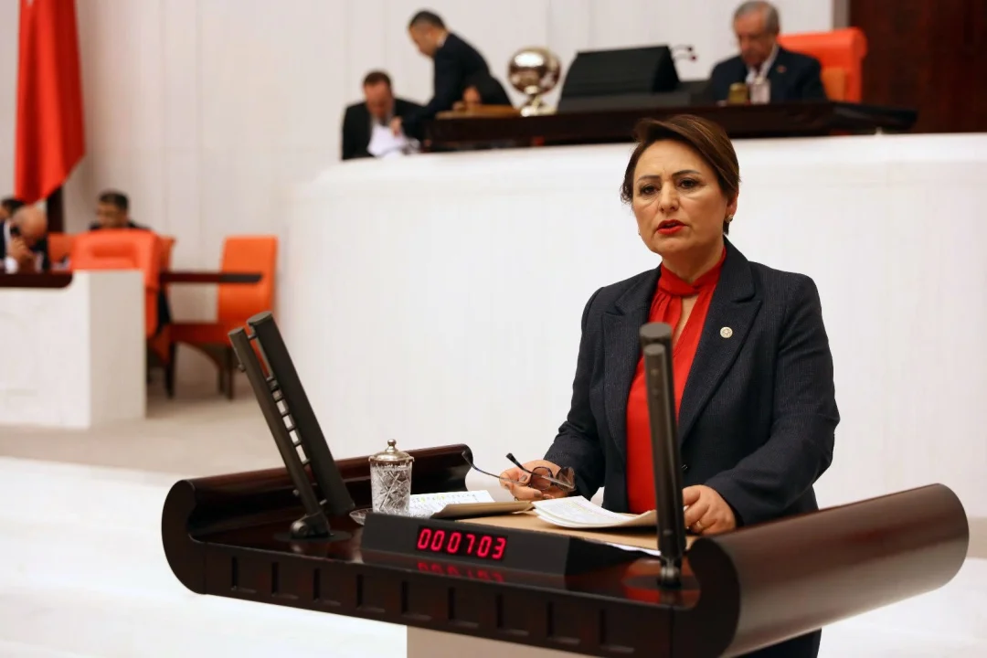 “İnsanlar ölüyor, hükümet seyirci kalıyor”